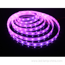 SMD5050 LED Strip Light